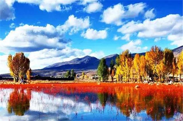 雙凱智能：說走就走旅行？有TA更輕松